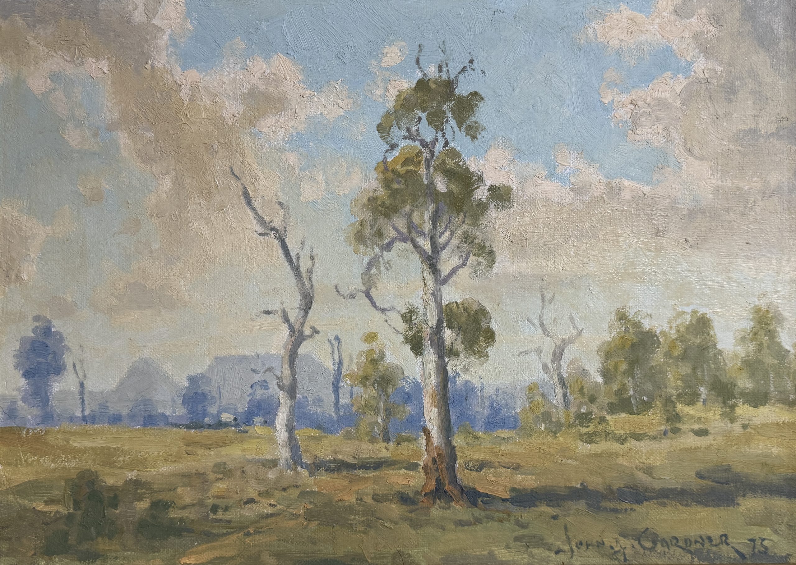 Australian Landscape 1975