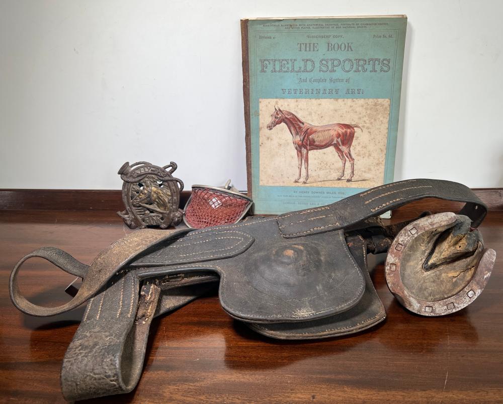 Equestrian related group, leather saddle, horse hoof pin cushion etc. C 1900